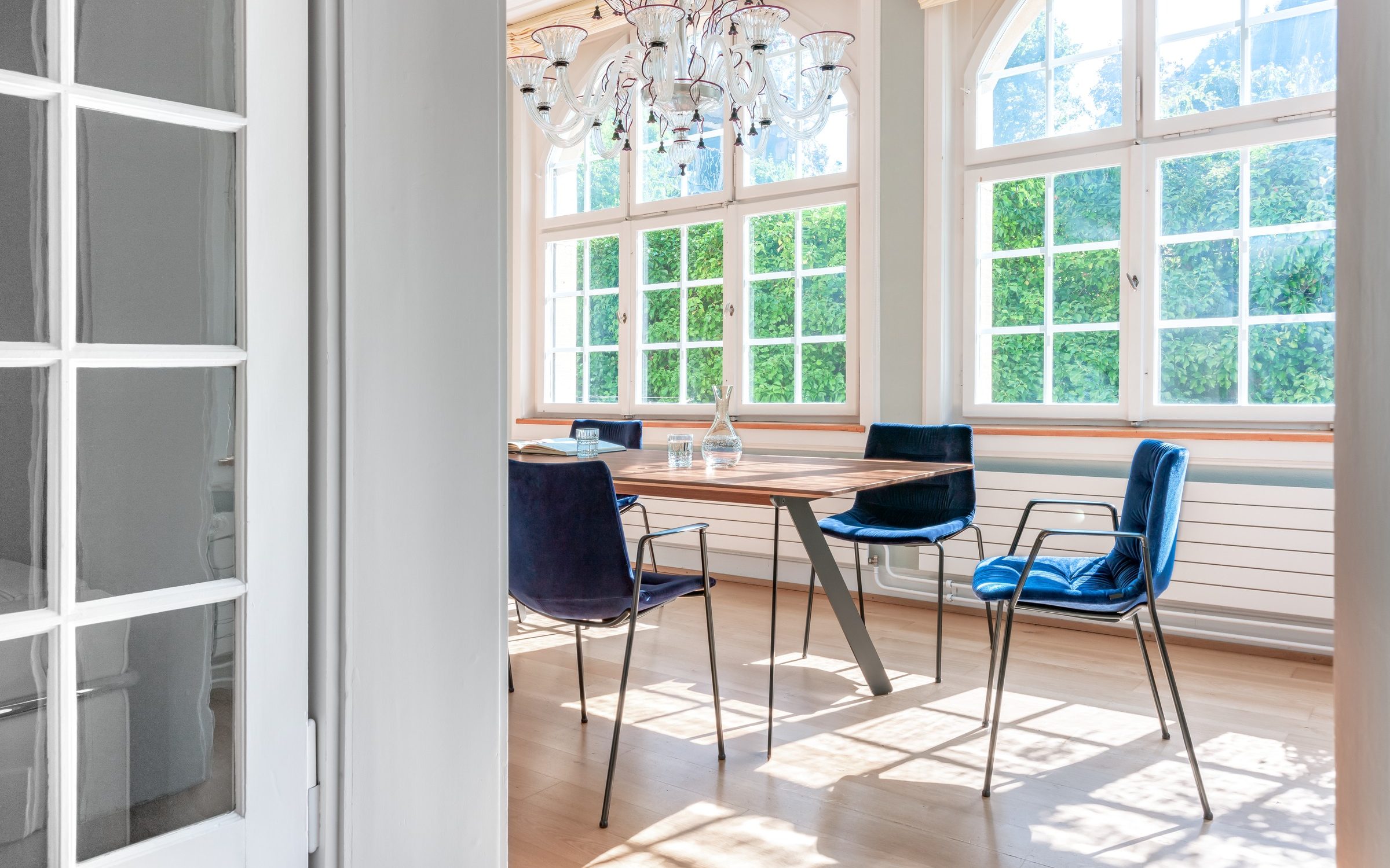 Nava_konturiert_Fox_AL_L_20200811_3